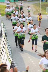 BIB: 
                            <button type="button" onclick="openModal(3549804)" class="btn btn-primary btn-sm float-right btn-popup" data-toggle="modal" data-target=".modal-high-quality">
                        <i class="fas fa-shopping-cart"></i> Add to Cart
                    </button>
                                            <button type="button" onclick="isThisMe(3549804, true)" class="btn btn-success btn-sm float-right btn-popup btn-isme hidden" data-toggle="tooltip" data-placement="bottom" title="นี่คือรูปของคุณใช่ไหม คลิกที่นี่เพื่อเอาเข้าอัลบั้ม">
                        <i class="fas fa-plus"></i> Add to album
                    </button>
                    <button type="button" onclick="isThisMe(3549804, false)" class="btn btn-warning btn-sm float-right btn-popup btn-isnotme hidden">
                        <i class="fas fa-ban"></i> Remove from album
                    </button>